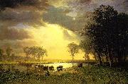 Albert Bierstadt The_Buffalo_Trail oil